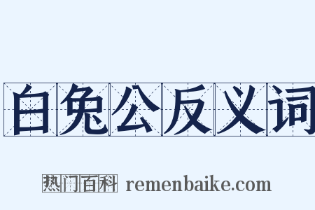 白兔公反义词是什么意思的图片